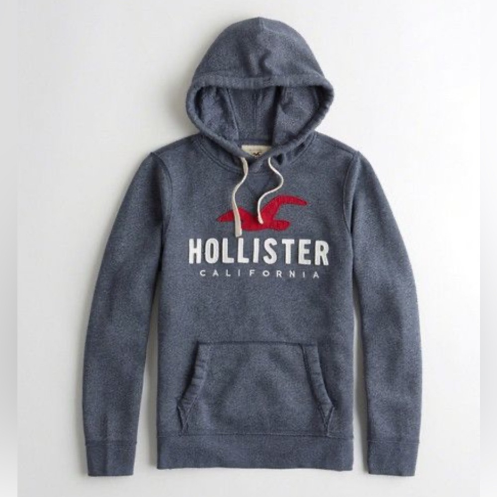 Hollister Mens Hoodie Sz S
